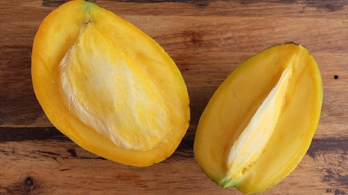 هسته انبه و دانستنی هایی درباره آن هسته انبه و دانستنی هایی درباره آن