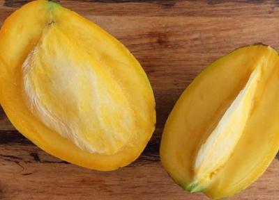 هسته انبه و دانستنی هایی درباره آن