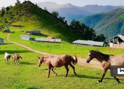 3 مورد از ناشناخته ترین جاهای دیدنی گیلان در تابستان